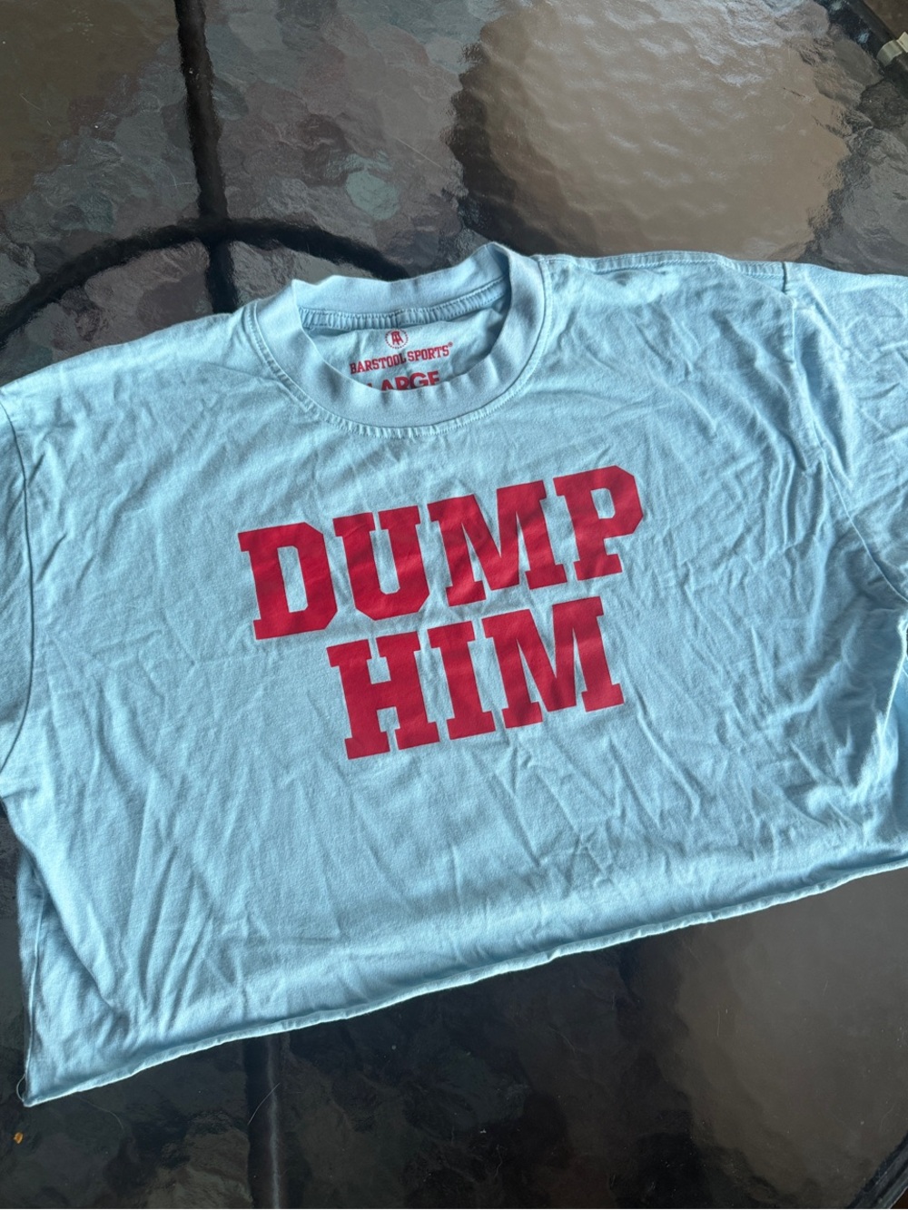 Light Blue Barstool Call her Daddy "DUMP HIM" Cropped Graphic Tee